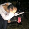 yaelahhdans21