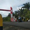 rezaafrian