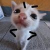 sisukaa_7