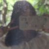 pim.pimpaka_2206