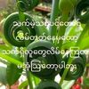 phoe.zaw625