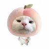 cutepeach_merry