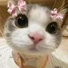 vutongday