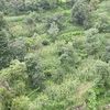 buner.official3