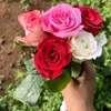 mdsabbirkhan_10