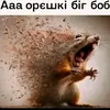 glava..dodepa1488