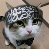 sunni4life