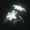 la_moreyts