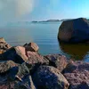 sasalin_54