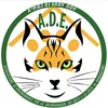 amicidieddy