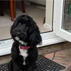 jennymorgan96