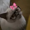 kittyquzx