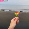 put_plan3tttt