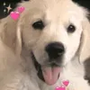 tiktok20000000tiktok