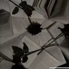dream_in_chapters