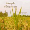 tay.ninh7062