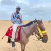 adihoumusic