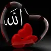 ya._hussein313