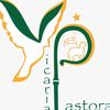 vicara.pastoral.c