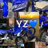 valeria.22675