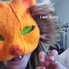 thefoxfamilytiktok
