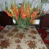 ngocson_1983