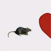 i_love_daniela7