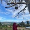 wardahray