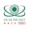 Mặt Nam - XIEXIE Phỉ Thuý