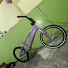 raja__468