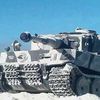 tiger_blancoh1