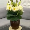 minhthu9395506745678