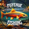 puyehuefishing