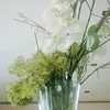 lvranna_