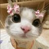 thwe.thwe.paing.m