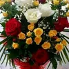 user861072585
