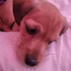 kazy65