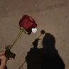 rubabfatima153