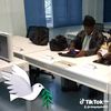 user2321065628581