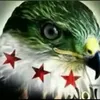 محمد الحلبي 🦅🦅