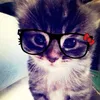 maev_rynzy