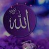 saraiki.log94