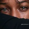 rabbashii14