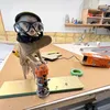 bobvtgm