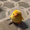 raa_imup8