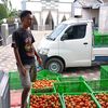 miswadididi993