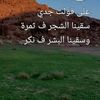 user7728149307218