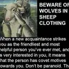 wolfbait_2