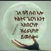 fekar.eulbey3