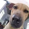 tuimayoccaca